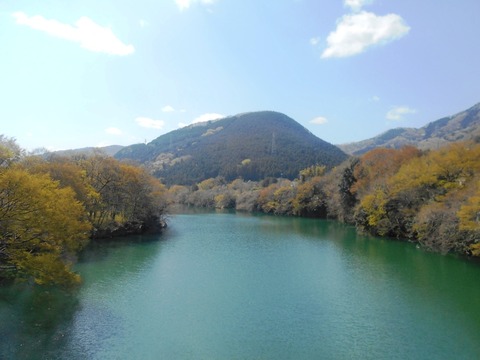 DSCN5862