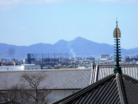 DSCN8206