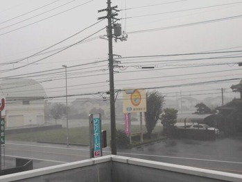 １１番への道（台風前夜）