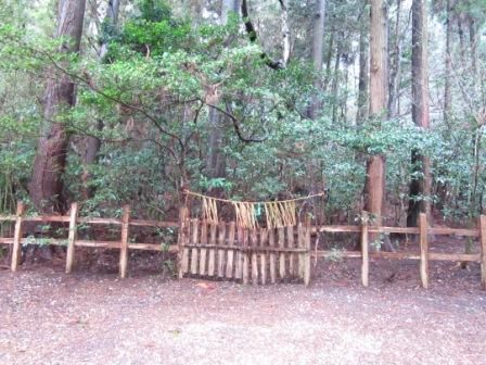 ２０１２年３月屋久島＆九州旅行 084