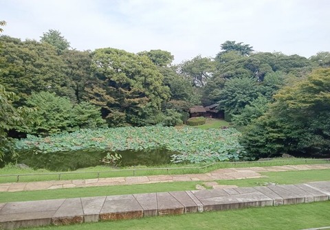 トーハク庭