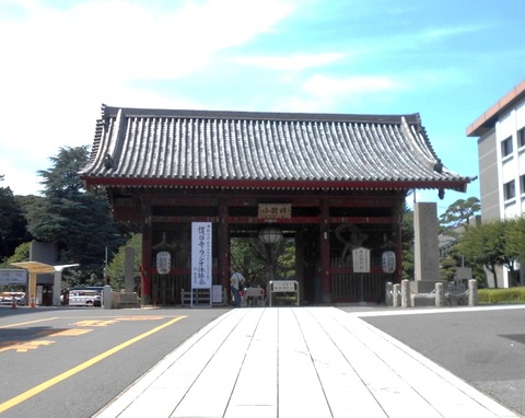 DSCN6800