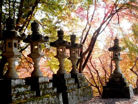 別格15番箸蔵寺（紅葉）