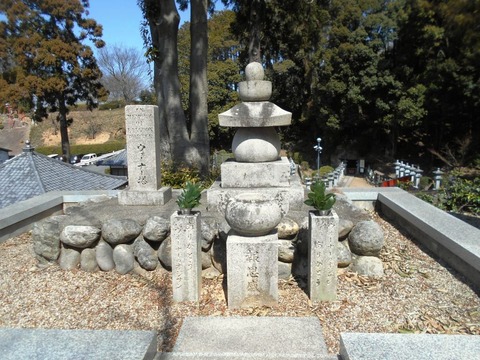 DSCN8204