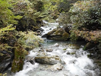 １２番への道（谷の川）