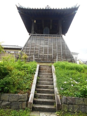 DSCN8516