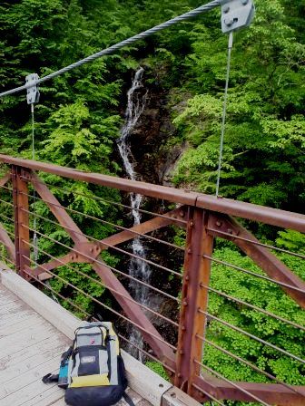 三頭山20150520 004