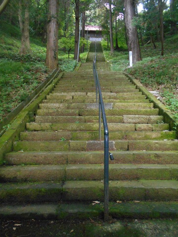 DSCN7426
