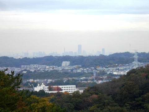 DSCN5541