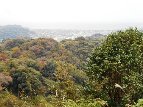 DSCN5534