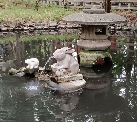 MVIMG_20240630_160536~2