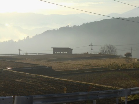 雲辺寺に行く道で