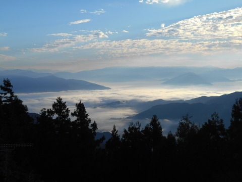 金山出石寺雲海
