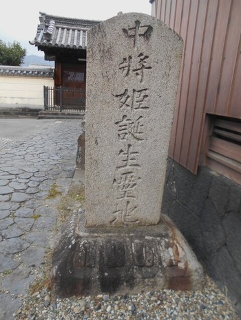 DSCN7906