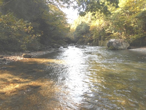 DSCN6993