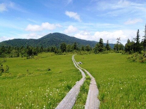 尾瀬ヶ原