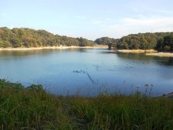 栄福寺池