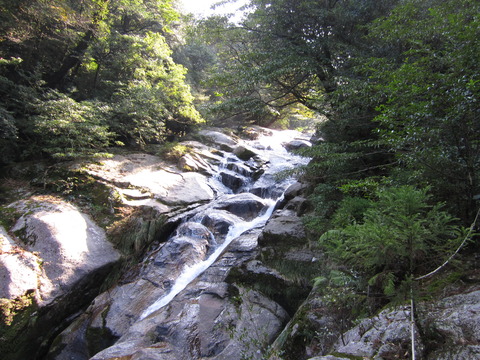 ２０１２年３月屋久島＆九州旅行 034