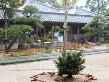 ９番法輪寺境内