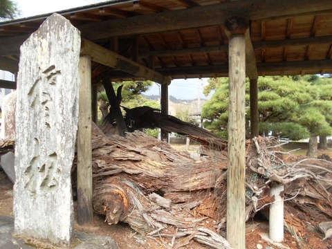 別格12番延命寺いざり松