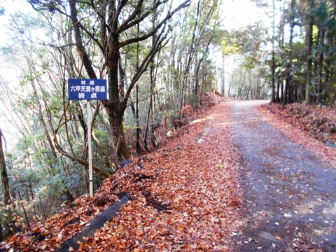 別格20への道（六甲天満原林道２）
