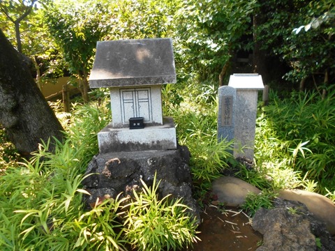 DSCN6804