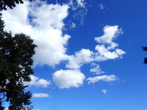 DSCN4497