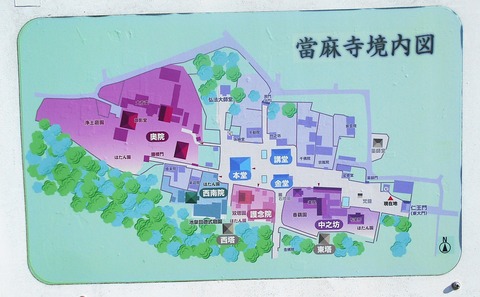 DSCN7922