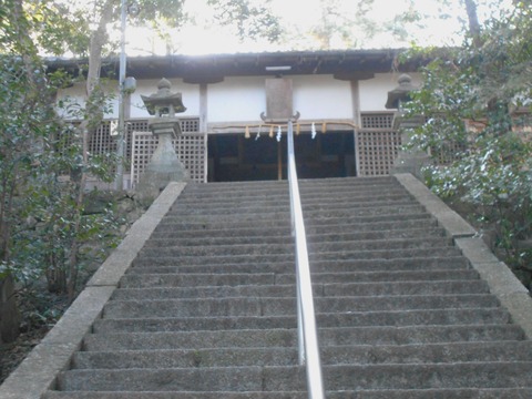 DSCN7967