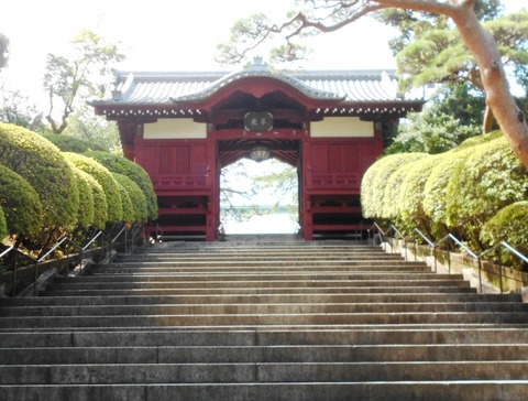DSCN6806