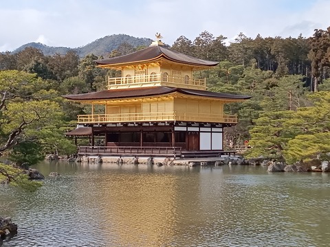 .trashed-1712479083-IMG_20240308_150458