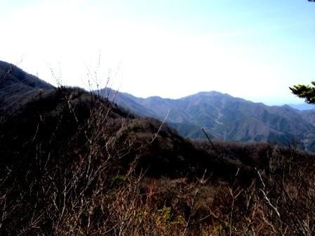 鶴ガ鳥屋山20130404 018