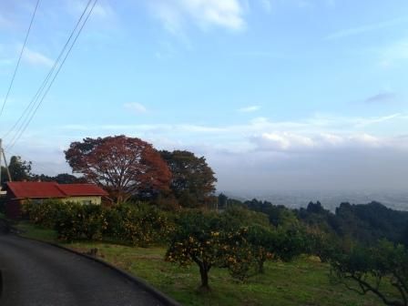 高松山 033