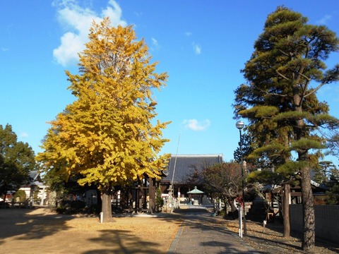 76番金倉寺境内2