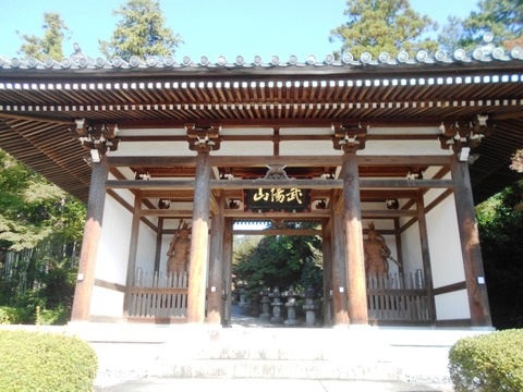 DSCN6950