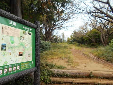 DSCN5544