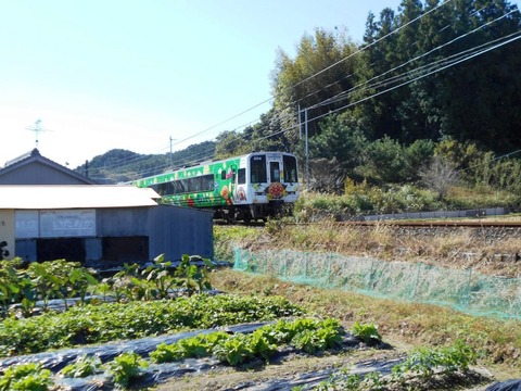 ３７番への道（土讃線）
