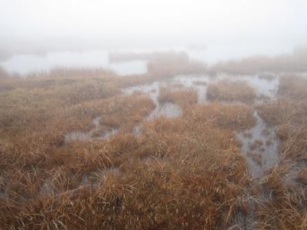 八丁の湯と鬼怒沼湿原 017