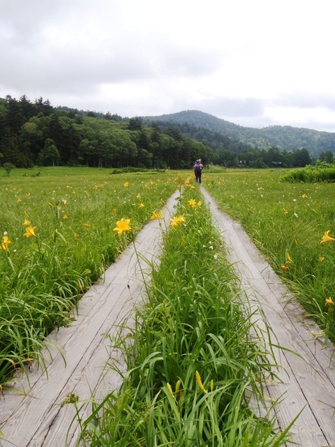 尾瀬201807 005