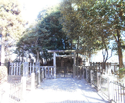 DSCN7963