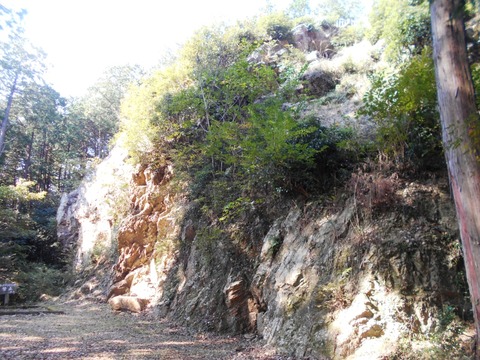 DSCN6985