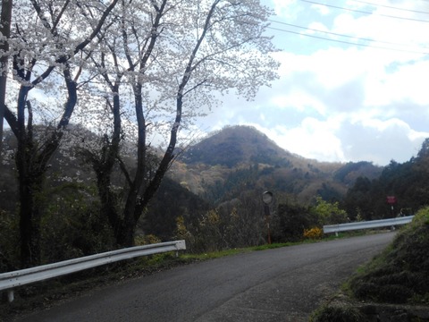 DSCN5901
