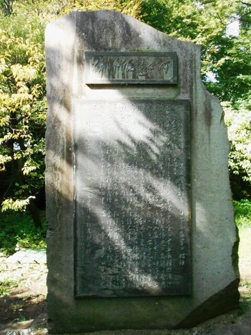 DSCN6891