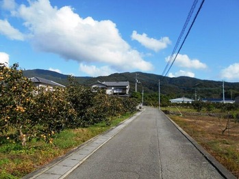 別格1番への道（畑）