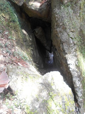 DSCN5877