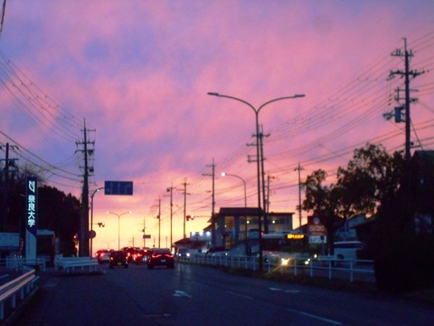 DSCN8147