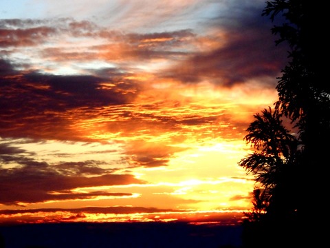 別格７番出石寺夕の伊予灘