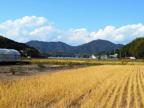 ３４番への道（畑）