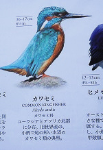P9270324