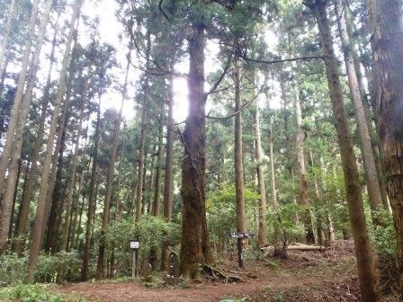 高松山 014